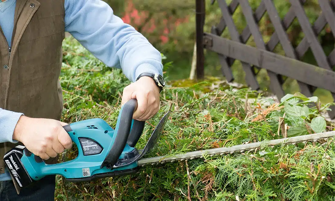 Tailler les haies de son jardin : comment bien faire ?